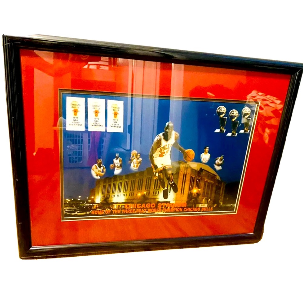 Rare Vintage Chicago Bulls 1991-93 Wood Framed Print Photo Signed by Schuth